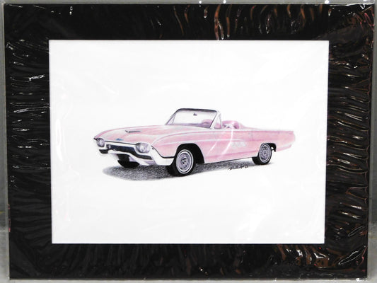STK 10337  Pink Thunderbird Print by Marris Gulledge