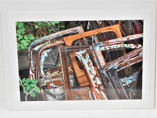 STK 10091  The Doors Print by Dan McCrary