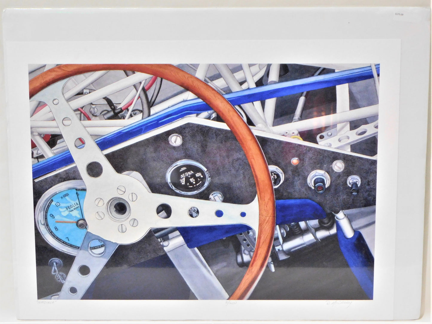 STK 10095  Birdcage Print by Dan McCrary