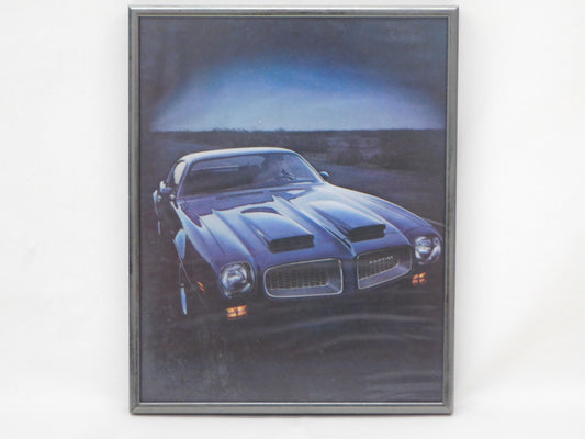 STK 10191  1974 Pontiac Firebird Framed Print