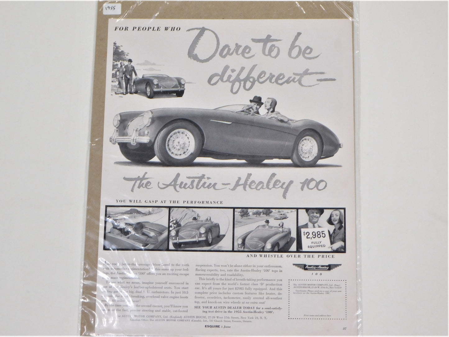 1955 Original Austin-Healey 100 Ad